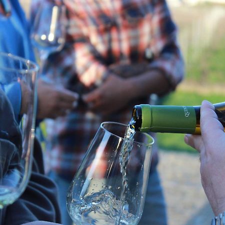 Quinta Pousada De Fora Wines & Tourism Guimaraes Ngoại thất bức ảnh