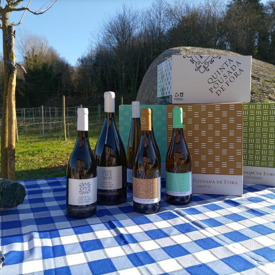 Quinta Pousada De Fora Wines & Tourism Guimaraes Ngoại thất bức ảnh