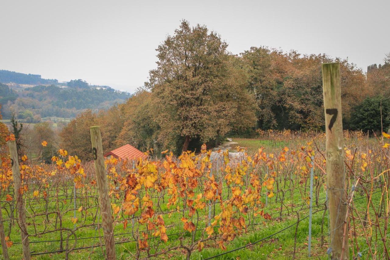 Quinta Pousada De Fora Wines & Tourism Guimaraes Ngoại thất bức ảnh