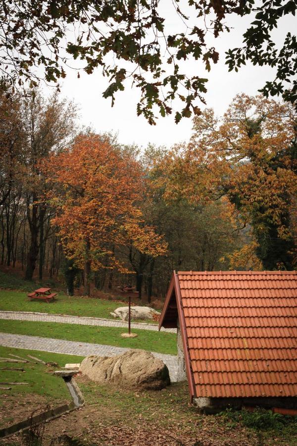 Quinta Pousada De Fora Wines & Tourism Guimaraes Ngoại thất bức ảnh