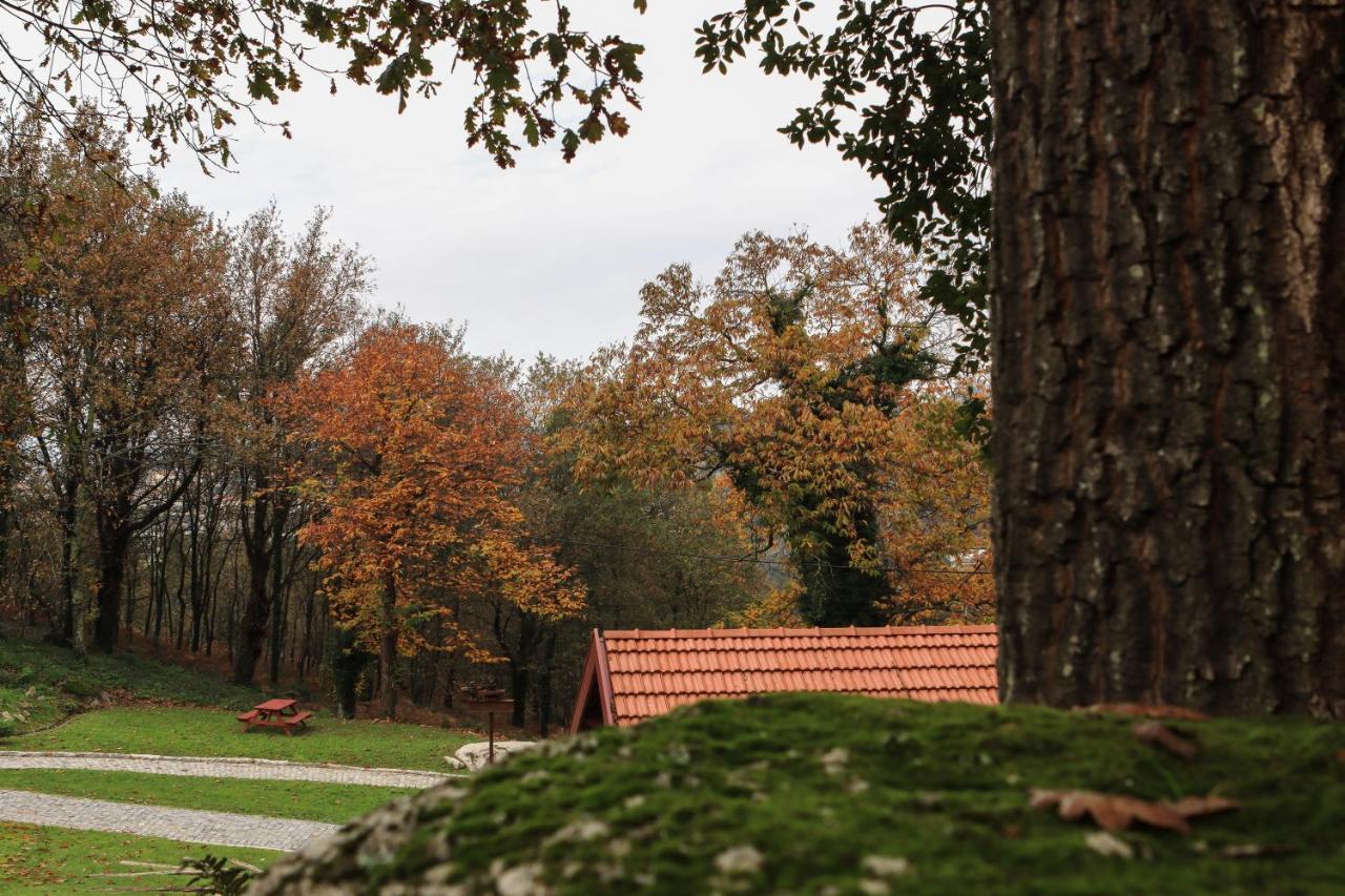 Quinta Pousada De Fora Wines & Tourism Guimaraes Ngoại thất bức ảnh