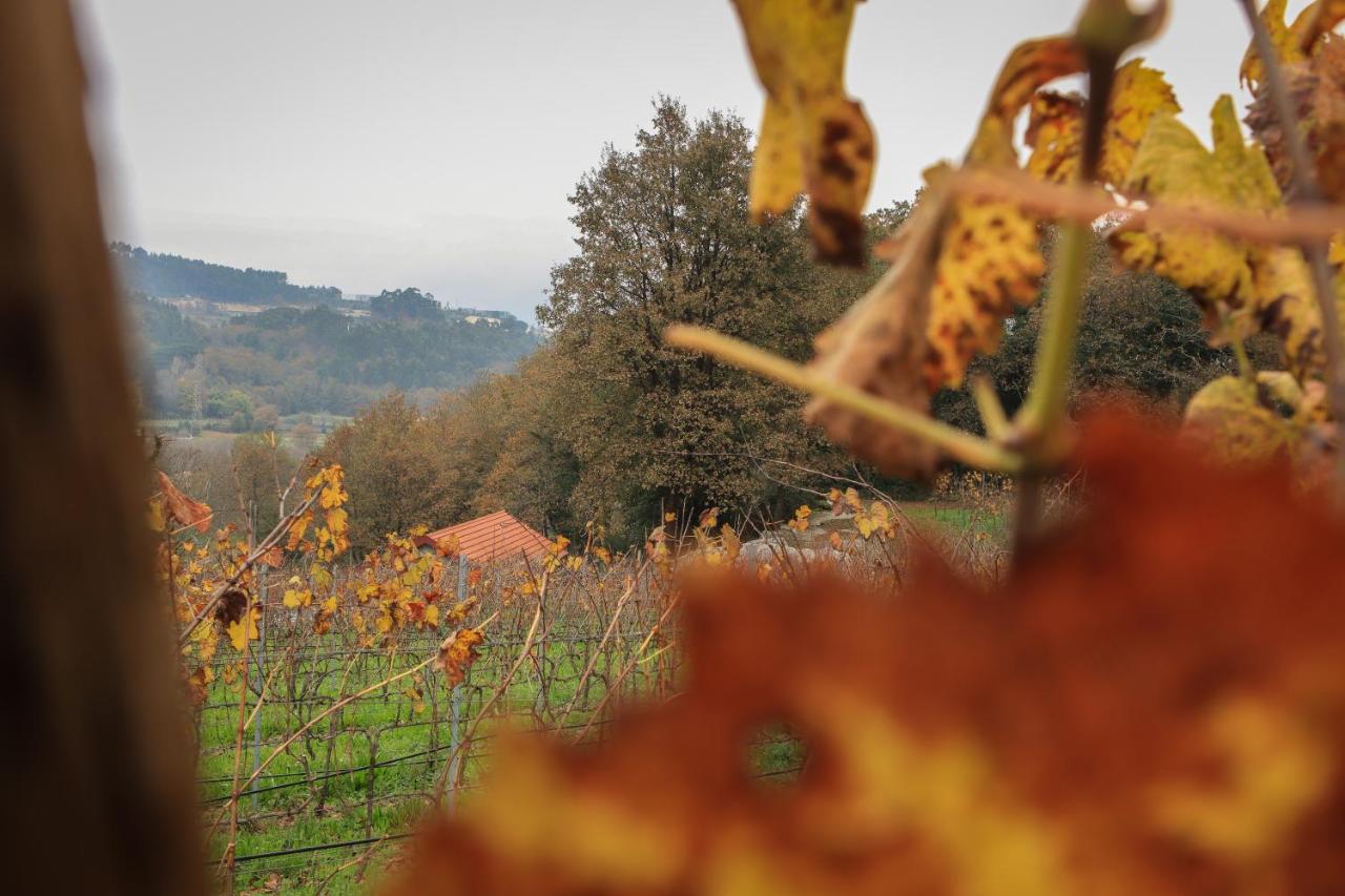 Quinta Pousada De Fora Wines & Tourism Guimaraes Ngoại thất bức ảnh