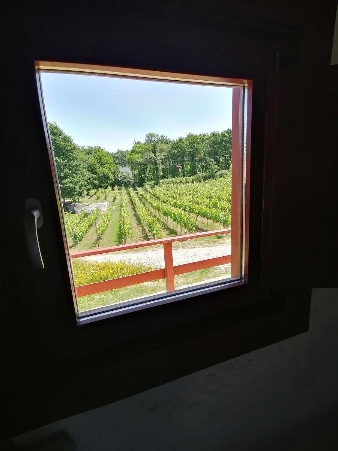 Quinta Pousada De Fora Wines & Tourism Guimaraes Ngoại thất bức ảnh