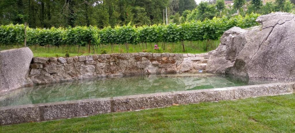 Quinta Pousada De Fora Wines & Tourism Guimaraes Ngoại thất bức ảnh