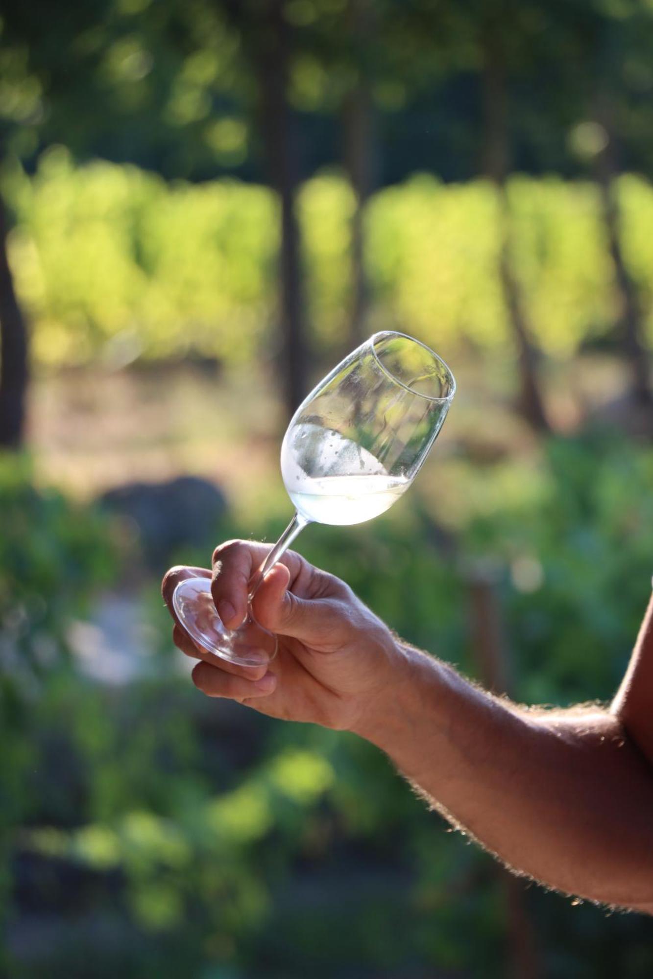 Quinta Pousada De Fora Wines & Tourism Guimaraes Ngoại thất bức ảnh