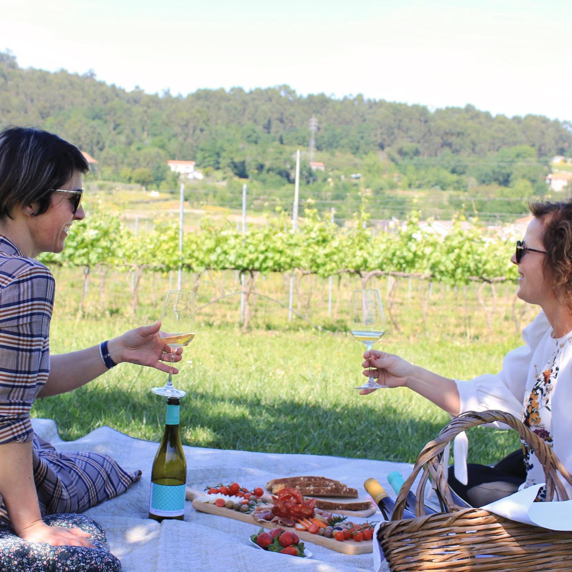 Quinta Pousada De Fora Wines & Tourism Guimaraes Ngoại thất bức ảnh